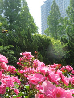 大阪・靱公園