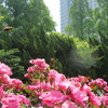 大阪・靱公園