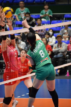 SVリーグ　大阪マーヴェラス vs デンソーエアリービーズ