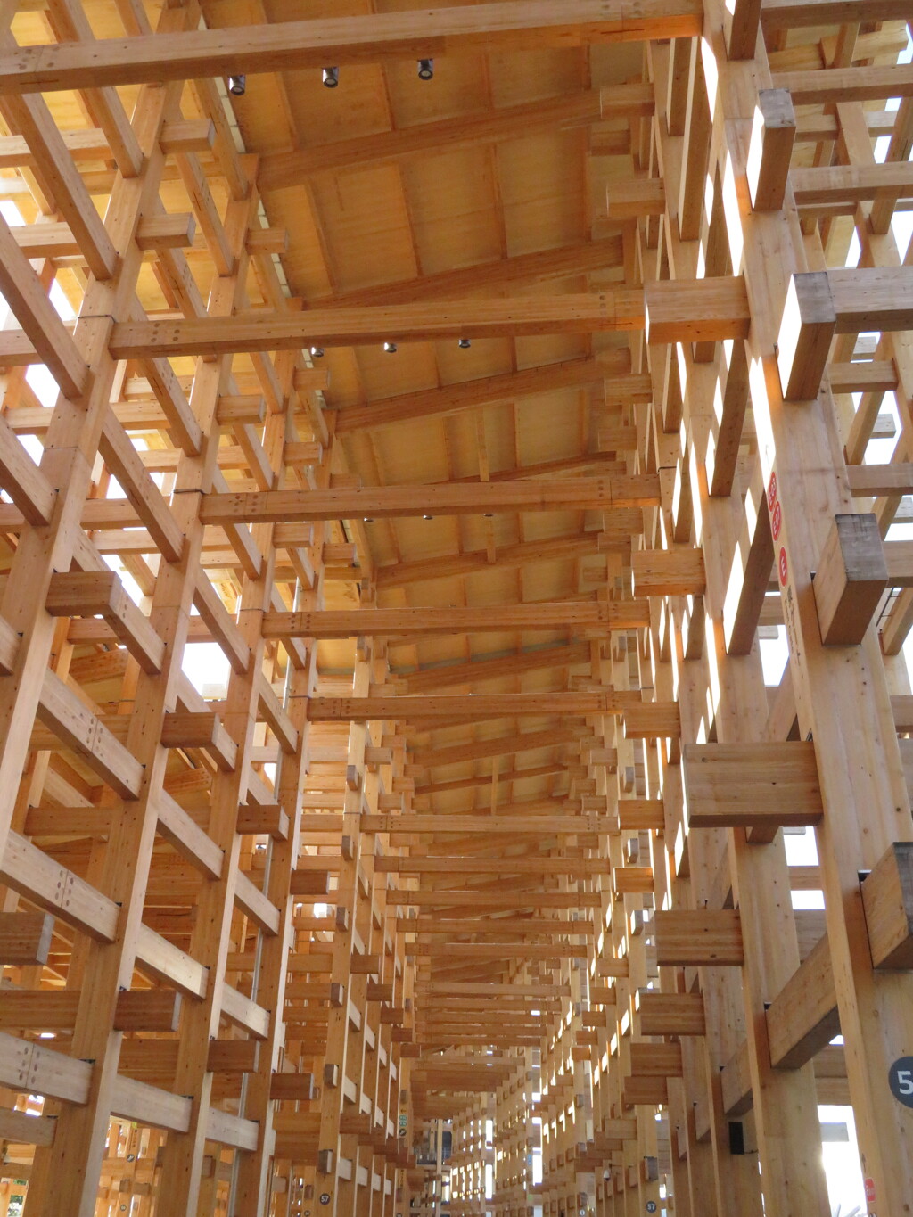 大阪・関西万博 Expo2025