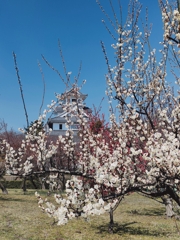 IMG_20250322_201226