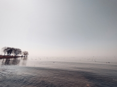 IMG_20250322_201146