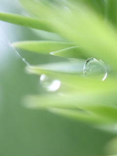 雨の合間に