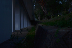 半分夜の秘密基地