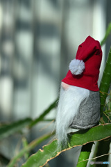 春を待つ見張り番