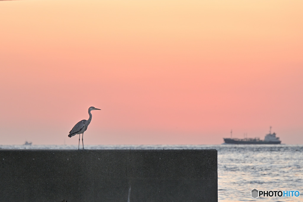 夕紅（ゆうくれない）のモノローグ