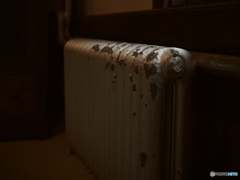 時が育んだ、優しい温もり