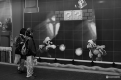 突然の遭遇、夢の残像