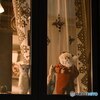 窓辺のサンタと猫の影