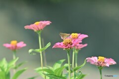 暑いだなんて言ってられない