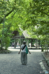 気