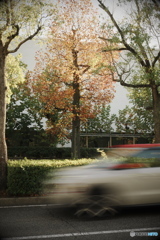 留まる記憶、流れる時間