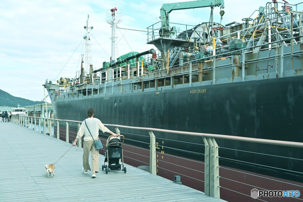 穏やかな日常、いつもの散歩道