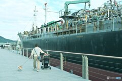 穏やかな日常、いつもの散歩道