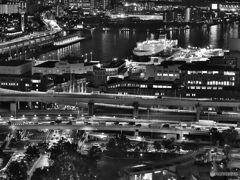 ポートランド・モノクローム