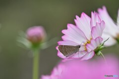 静寂の中の一瞬