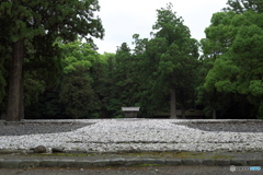 聖 域