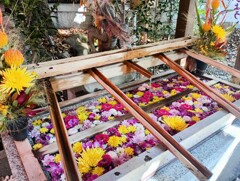 秋の花の花手水
