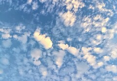 夏の夕方の鱗雲