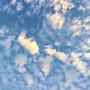 夏の夕方の鱗雲
