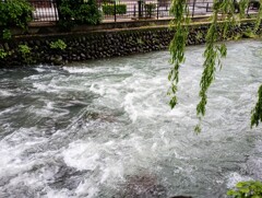 雨の広瀬川（群馬県前橋市）