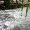 雨の広瀬川（群馬県前橋市）