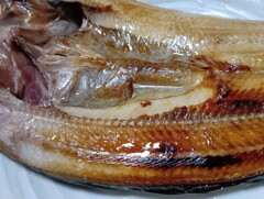 ほっけの干物の接写