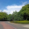 真夏の遊歩道