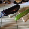 精霊馬