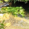 昇仙峡の渓流④