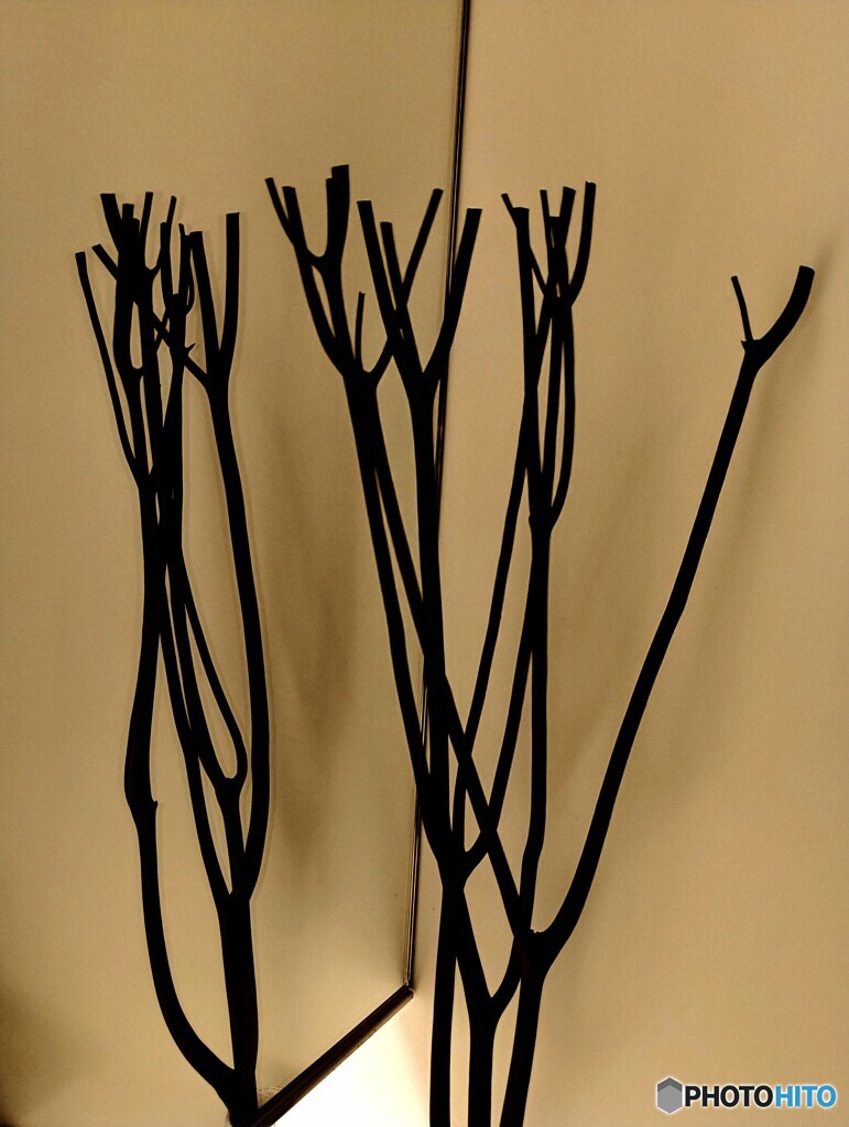 合わせ鏡