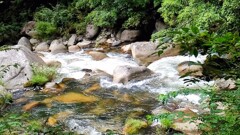 昇仙峡の渓流