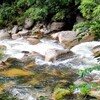 昇仙峡の渓流