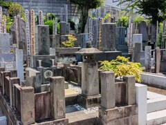 墓地②