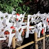 花園神社のおみくじを結ぶ所