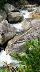 晩夏の昇仙峡の川③