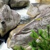 晩夏の昇仙峡の川③