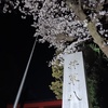 井草八幡宮の夜桜