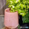 緑の紫陽花と花瓶