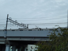 (0015)2025-1003-1513(西武鉄道)撮影場所→西武池袋線練馬高野