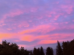 ピンクの空