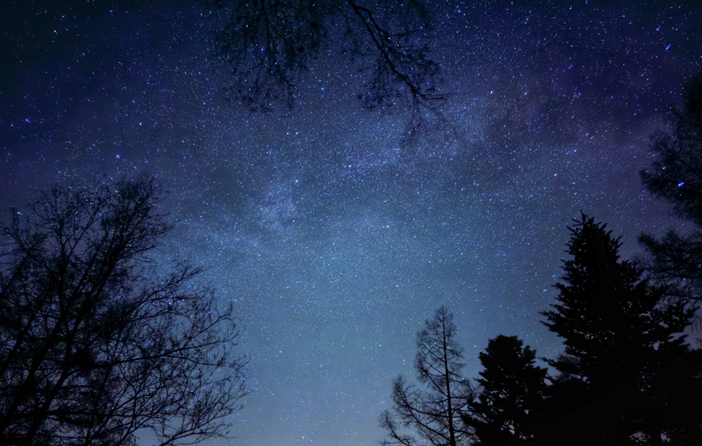 星空と森