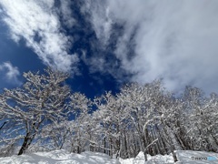 北海道の冬景色