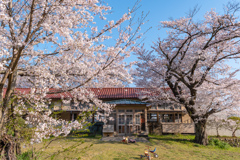 懐かしい校舎