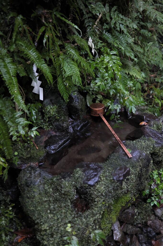 小雨降る貴船神社