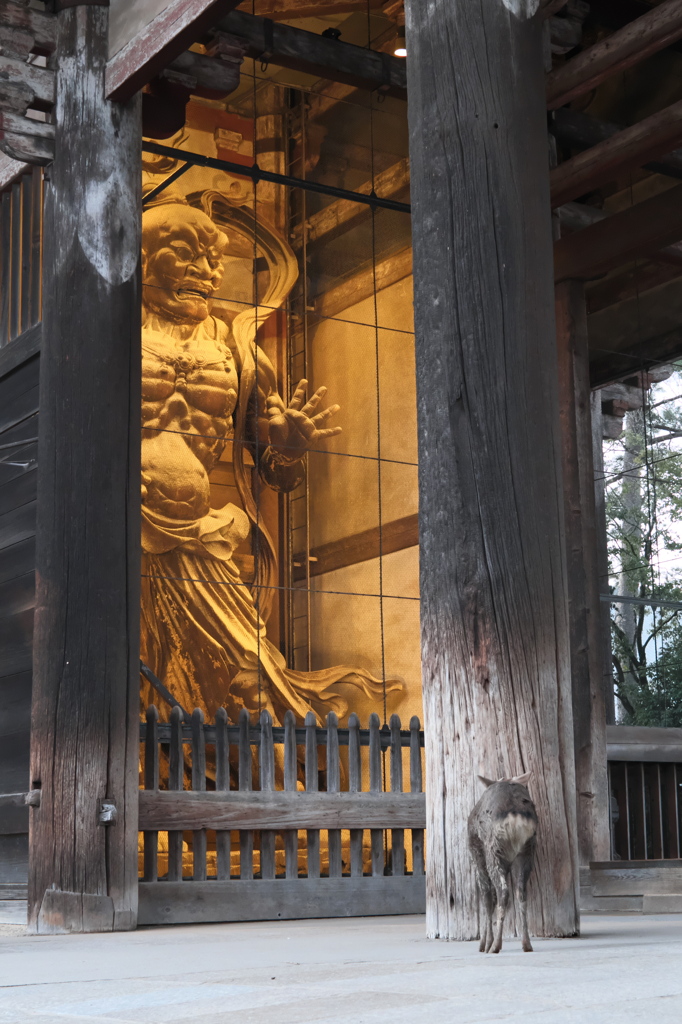 東大寺　南大門