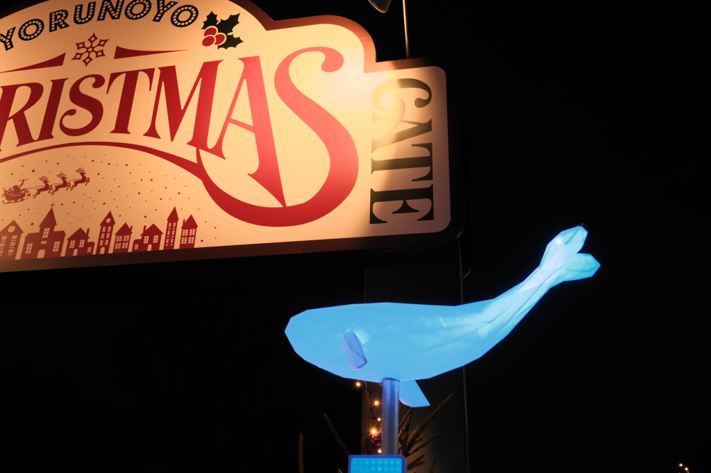 ヨコハマ・ヨルノヨ2025