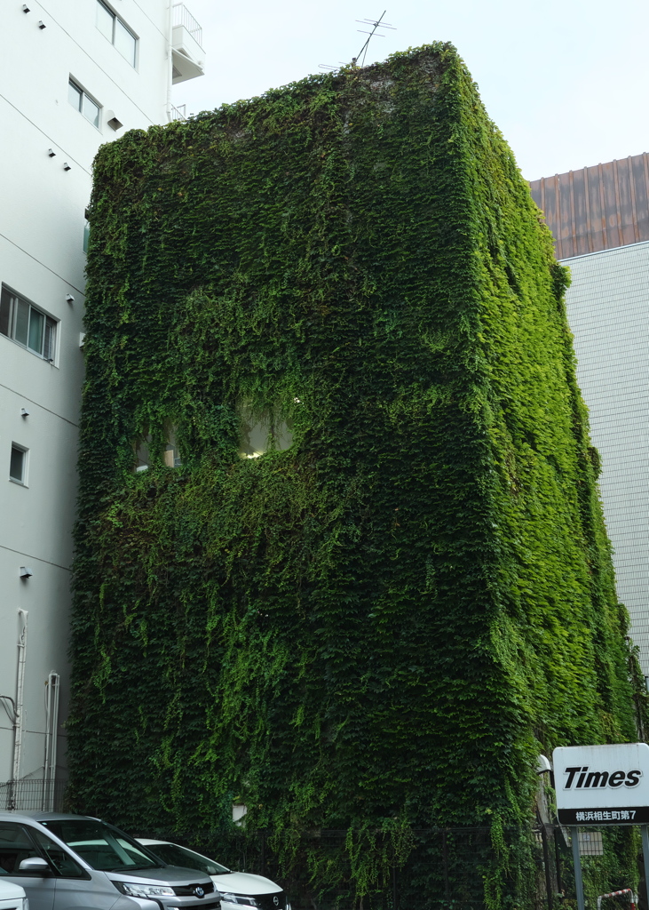相生町の緑