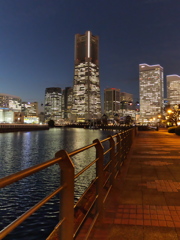 運河沿いの歩道