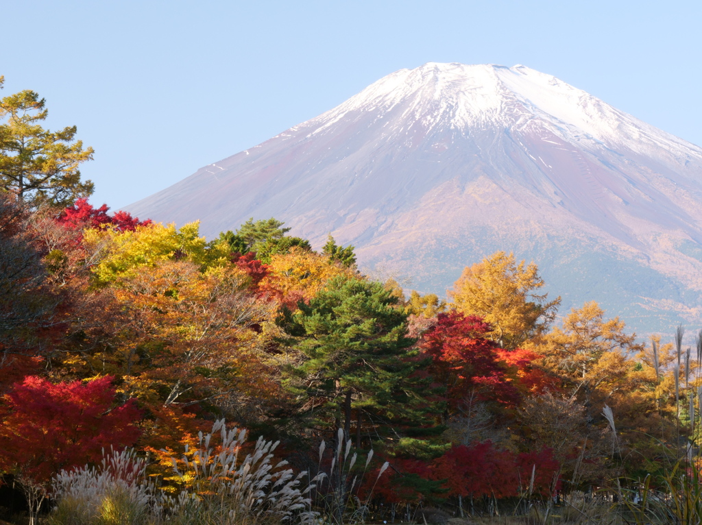 紅葉と富士山